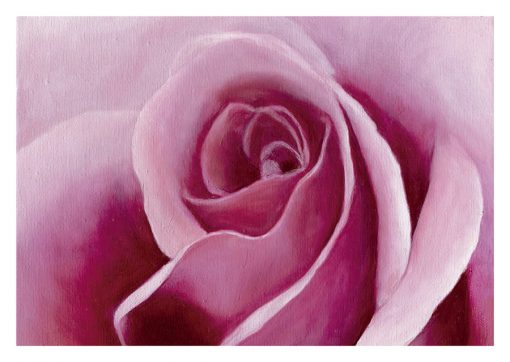 EP – 151 Rosa