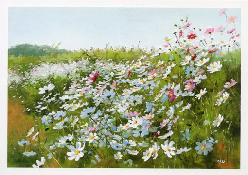 EP – 926 Campo de flores