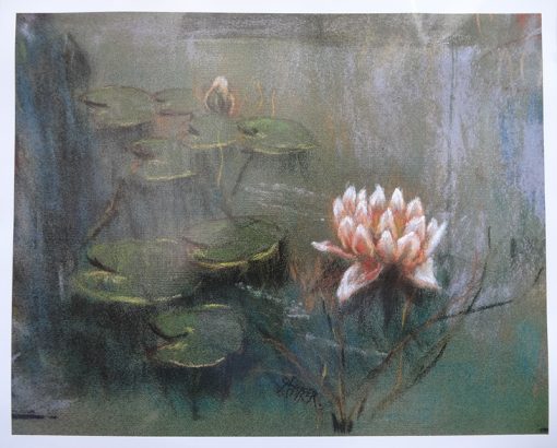 Grabado Flor de loto 7/25