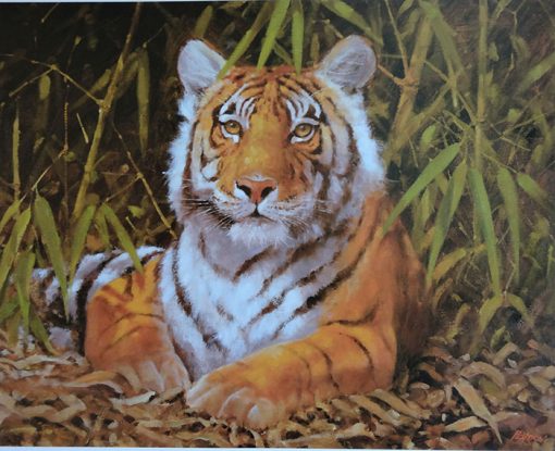 Grabado Tigre 10/25