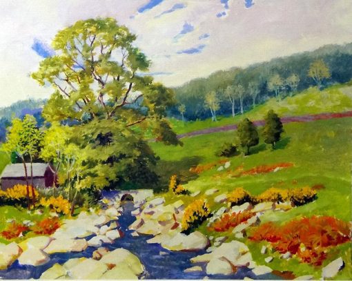 Grabado Primavera en Irlanda 11/25