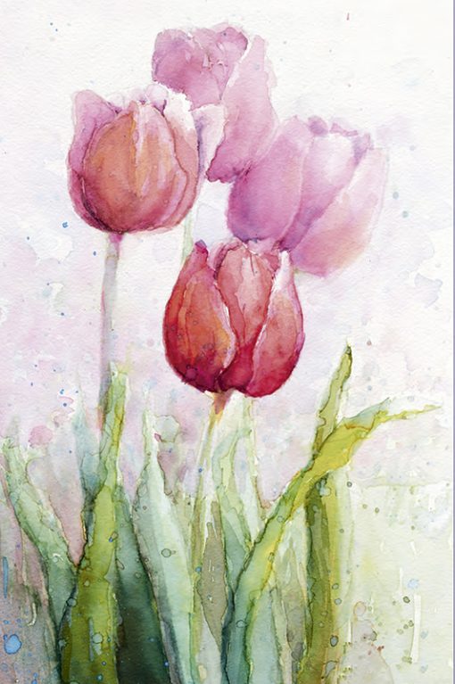 M - 2201 Tulipanes