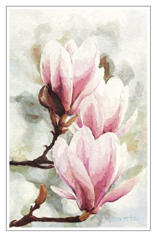 M-2401 Magnolia rosa