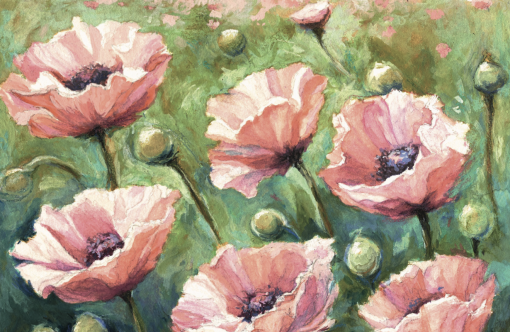M-2601 Amapolas