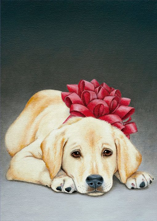 MX – 171 Cachorro