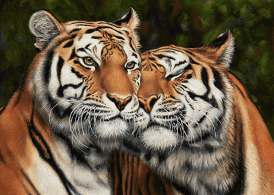 “Pareja de tigres” Walery Siejtbatalow Pintor con la boca