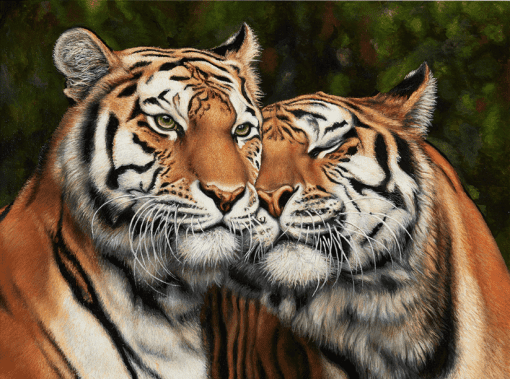 “Pareja de tigres” Walery Siejtbatalow Pintor con la boca