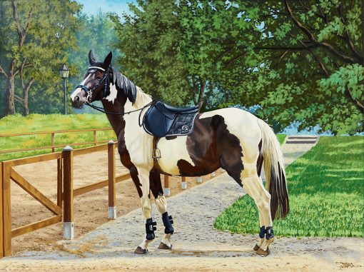 Rompecabezas Caballo Picazo