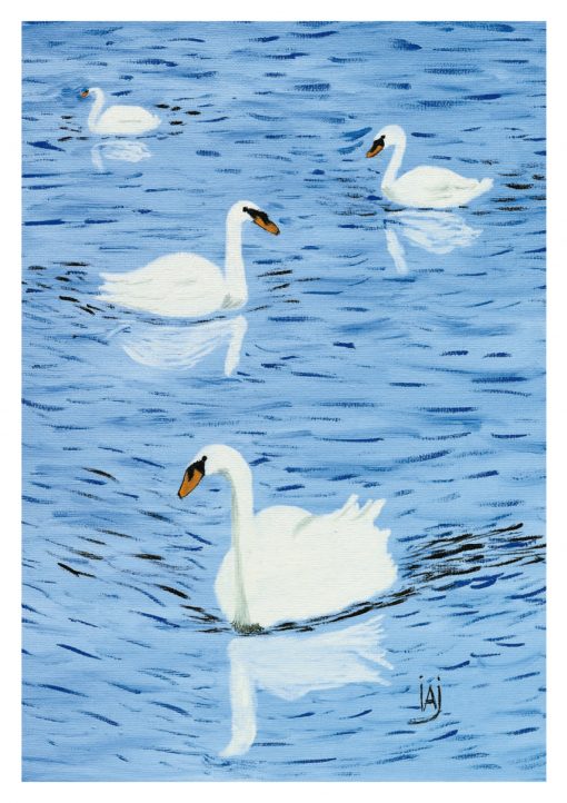 EP – 162 Cisnes blancos
