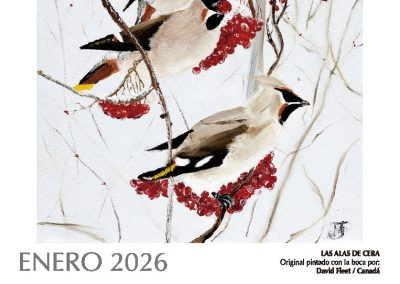 Calendario artístico 2026 Enero