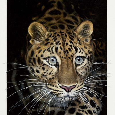 Calendario Artístico 2027 Portada