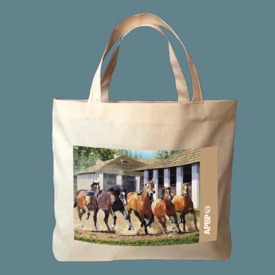 BOLSA CABALLOS AL GALOPE
