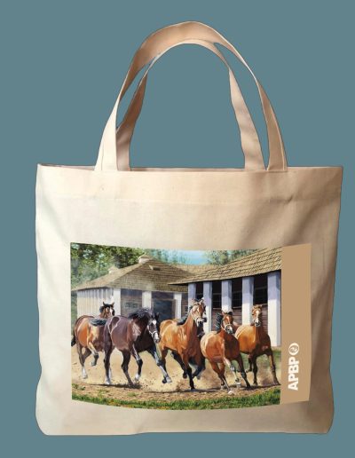 BOLSA CABALLOS AL GALOPE