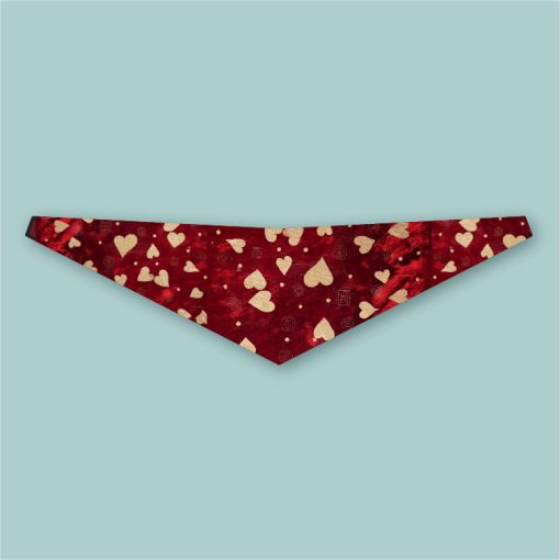 Paliacates / Bandanas