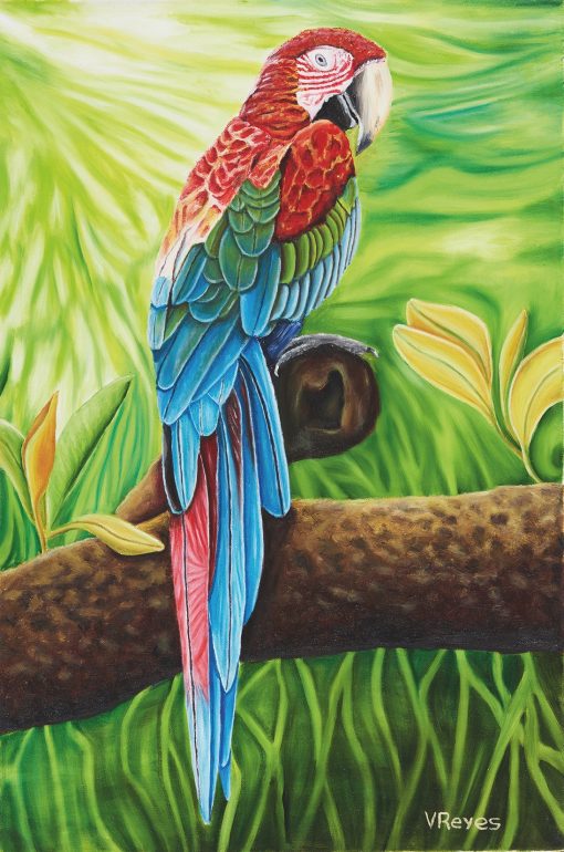 Guacamaya