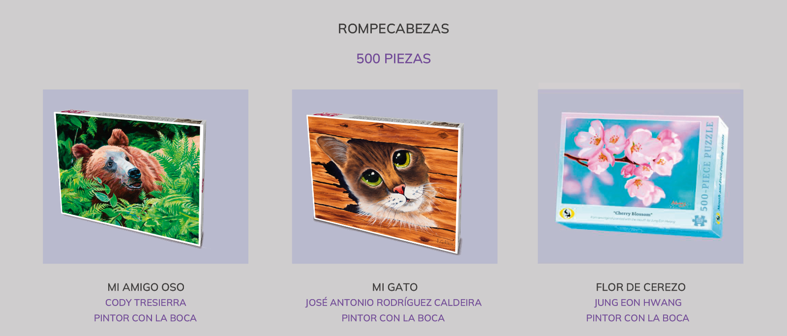 COLLAGE ROMPECABEZAS 500 PIEZAS NAV25 COLLAGE ROMPECABEZAS 500 PIEZAS NAV25