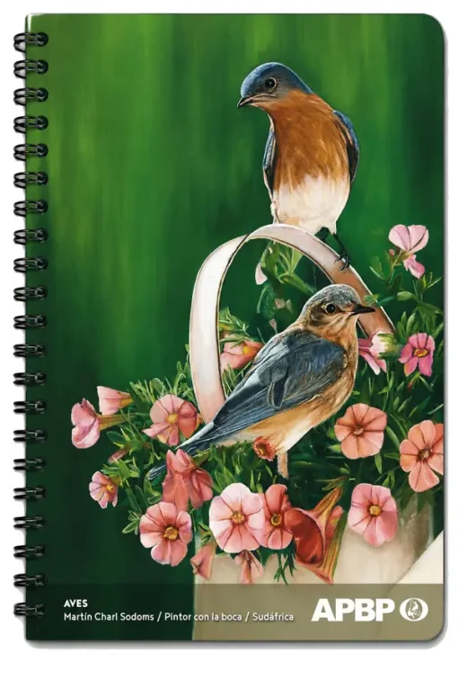 Cuaderno Aves