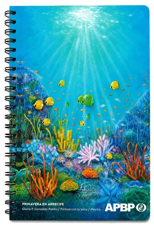 Cuaderno Primavera en arrecife